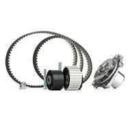 INA 530 0561 30 Bomba de agua + kit de correa de distribución 30 mm Compatible con OPEL Combo D Furgoneta/Familiar X12 Combo D Tour X12, FIAT GRANDE PUNTO 199 PUNTO EVO 199 BRAVO II 198 500L 351