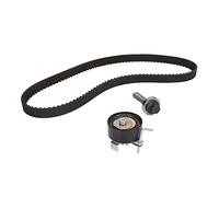 Ina 530 0605 10 Correas de Distribución