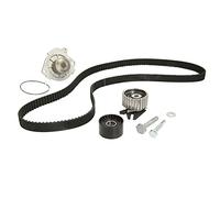 INA 530 0622 30 Bomba de agua + kit de correa de distribución 30 mm con junta