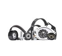Kit de distribución + bomba de agua 530 0638 30 INA para RENAULT OPEL NISSAN