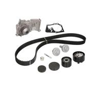 Ina 530 0639 30 Refrigerantes del Motor