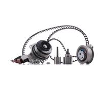 INA 530 0650 30 Bomba de agua + kit de correa de distribución para VW CC (358)