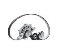 INA 530 0691 30 Bomba de agua + kit de correa de distribución para CITROËN DS4