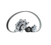 INA 530 0691 30 Bomba de agua + kit de correa de distribución para CITROËN DS5