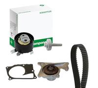 INA 530 0843 30 Bomba de agua + kit de correa de distribución con junta Compatible con NISSAN Qashqai II J11, J11, RENAULT Megane 4 Grandtour K9A/M/N Kadjar HA, HL Clio 5 Hatchback BF, B7