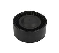 INA 531 0873 10 Polea tensora correa poli V