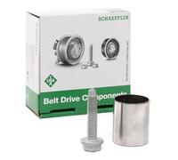 INA 532 0197 10 Polea de inversión y guía correa de distribución