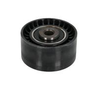 INA 532 0345 10 Polea de inversión y guía correa de distribución