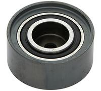 INA 532 0355 10 Polea de inversión y guía correa de distribución