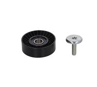 INA 532 0439 10 Polea inversión/guía correa poli V