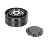 INA 532 0564 10 Polea inversión/guía correa poli V