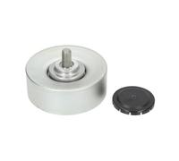 INA 532 0569 10 Polea inversión/guía correa poli V