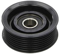 INA 532 0580 10 Polea inversión/guía correa poli V