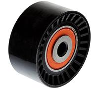 INA 532 0624 10 Polea de inversión y guía correa de distribución