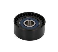 INA 532 0666 10 Polea inversión/guía correa poli V