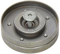 INA 532 0694 10 Polea inversión/guía correa poli V