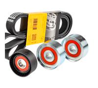 INA 532 1032 10 Juego de rodillos, correa poli V