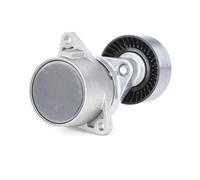 INA 533 0017 10 Brazo tensor correa poli V Ø70mm