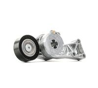 Tensor de la correa trapezoidal acanalada 533 0076 30 INA para VW SKODA AUDI