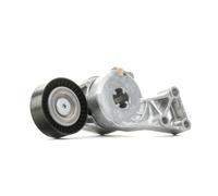 INA 533 0076 30 Brazo tensor correa poli V Ø70mm para VW GOLF VI (5K1)