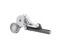 INA 533 0081 30 Brazo tensor correa poli V Ø70mm para VW Golf IV Hatchback (1J1)