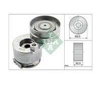 INA 534 0027 10 Tensor De Correa Para Renault Clio III Megane I