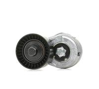 Brazo tensor, correa en V INA 534 0109 20