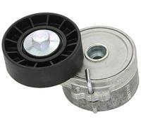 Tensor de la correa trapezoidal acanalada 534 0110 20 INA para CITROËN PEUGEOT
