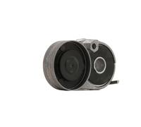 Tensor de la correa trapezoidal acanalada 534 0116 20 INA para AUDI VW SKODA