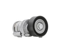 INA 534 0123 20 Brazo tensor correa poli V Ø70mm para VW POLO (9N) GOLF VI (5K1)