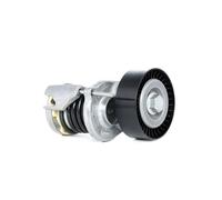 INA 534 0164 10 Brazo tensor correa poli V Ø70mm para VW Polo V Hatchback