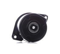 INA 534 0170 10 Brazo tensor correa poli V