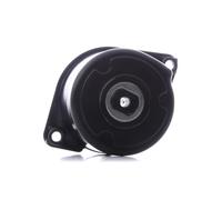 INA 534 0170 10 Brazo tensor correa poli V para BMW 3 Limousine (E46) X3 (E83)