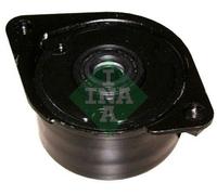 INA 534 0171 10 Brazo tensor correa poli V para BMW 3 Limousine (E46) X5 (E53)