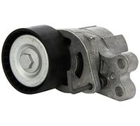 Tensor de la correa trapezoidal acanalada 534 0179 10 INA para CITROËN PEUGEOT