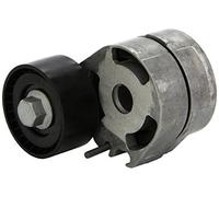 Ina Tensor de correa 534 0180 10 Correa poli V para Citroën Ford