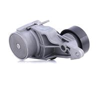 INA 534 0319 10 Brazo tensor correa poli V