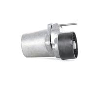 INA 534 0320 10 Brazo tensor correa poli V Ø55mm para BMW 5 Touring (F11)
