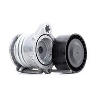 Brazo tensor, correa en V INA 534 0331 10