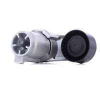 INA 534 0433 10 Brazo tensor correa poli V