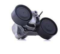 INA 534 0482 10 Brazo tensor correa poli V