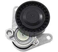 INA 534 0552 10 Brazo tensor correa poli V