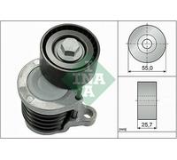 INA 534 0591 10 Brazo tensor correa poli V Ø55mm