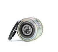 INA 535 0121 10 Rueda libre de alternador para FORD MONDEO IV Turnier (BA7)