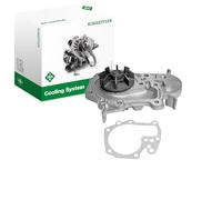 INA 538 0021 10 Bomba de agua Número de dientes: 20 Compatible con RENAULT Clio II Hatchback BB, CB KANGOO Express FW0/1 MEGANE I Grandtour KA0/1 MEGANE I BA0/1 Kangoo II/Grand Kangoo KW, KW0/1