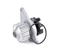 INA 538 0055 10 Bomba de agua Número de dientes: 18 Compatible con FIAT QUBO 225 FIORINO Furgón/ranchera familiar 225, PEUGEOT 207 WA, WC 206 Fastback 2A/C 206+ Hatchback 2L, 2M 207 SW WK
