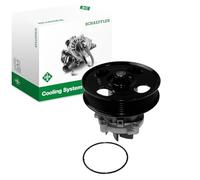 INA 538 0442 10 Bomba de agua con junta Compatible con OPEL Corsa D Hatchback S07, FIAT 500 312 PANDA 169, SUZUKI SWIFT III MZ, EZ, FORD KA RU8