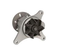 INA 538 0501 10 Bomba de agua Compatible con PEUGEOT 407 Coupé 6C, CITROËN C5 III Familiar RW, LAND ROVER Range Rover Sport L320