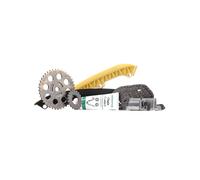 INA 559 0078 10 Kit de cadena de distribución
