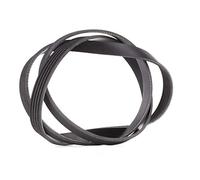 Ina FB 5PK1545 Correas de Distribución